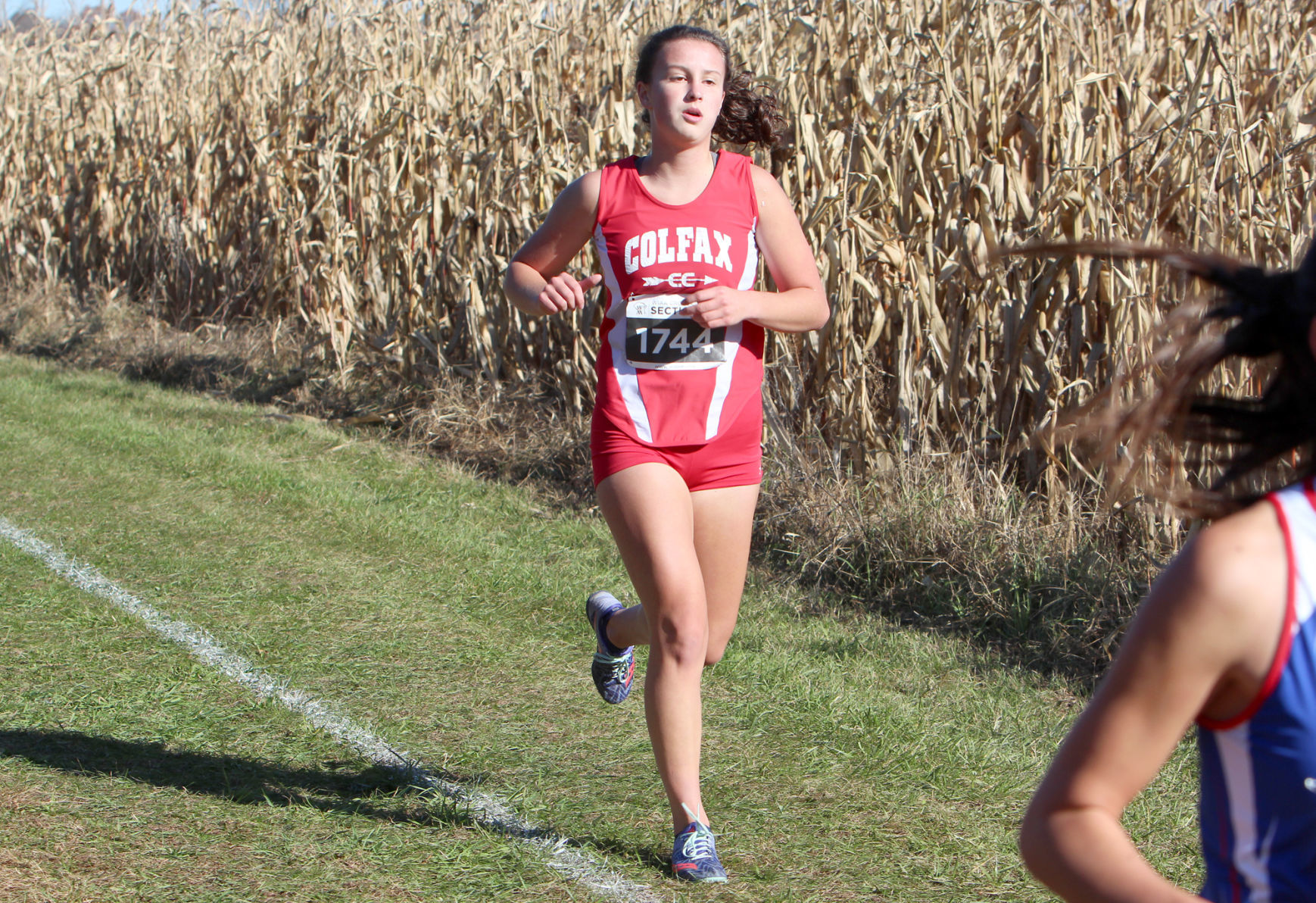Division 3 Cross Country Sectionals in Boyceville 10-26-19